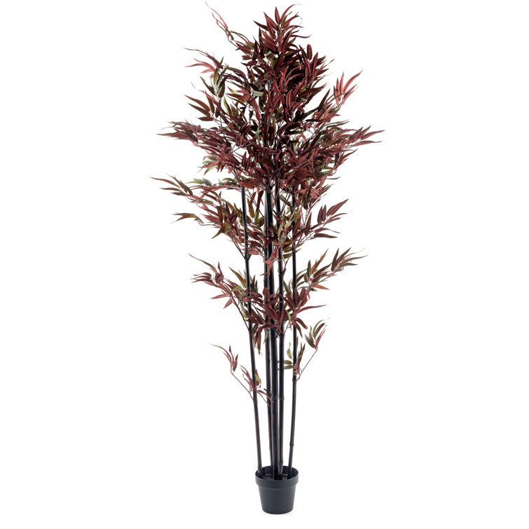 The Seasonal Aisle Floor Bamboo Tree in Pot & Reviews Wayfair.co.uk